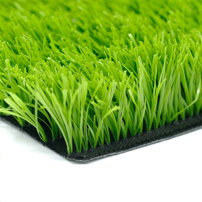 Simulation de l'herbe pour le football Tapis PP Matériau Imiter l'herbe artificielle Gazon pour le football Gazon synthétique Système de gazon pour le football