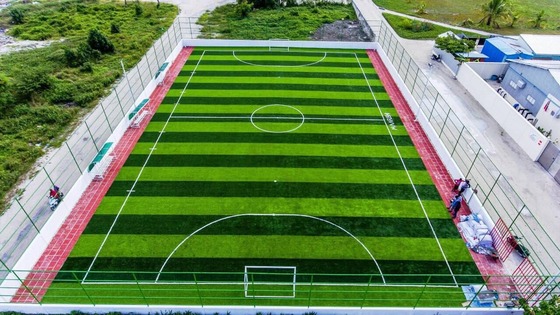 Herbe artificielle de 50 mm de hauteur de piles avec une installation facile, un toucher doux et une ténacité élevée pour les terrains de football