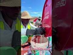 WA Certifié Trace de course de tartan à haute flexibilité personnalisée pour les projets