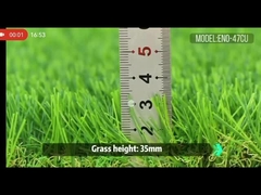 ENO-47CU gazon d'automne doux, dense et naturellement beau