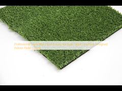 Courts de padel en verre professionnels pour les commandes en vrac