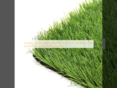 Hauteur de Pile 50 mm Gazon Artificiel Haute Durabilité pour les terrains de football