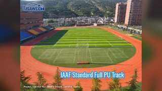 Norme professionnelle de la voie courante 13mm d'unité centrale de l'IAAF pleine